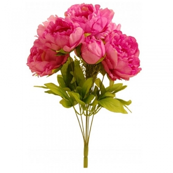 Пион искусственный